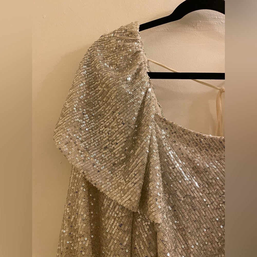 NWOT Free People Silver Sequin Flowy Tie Back Crop Top Size XS - Picture 5 of 9